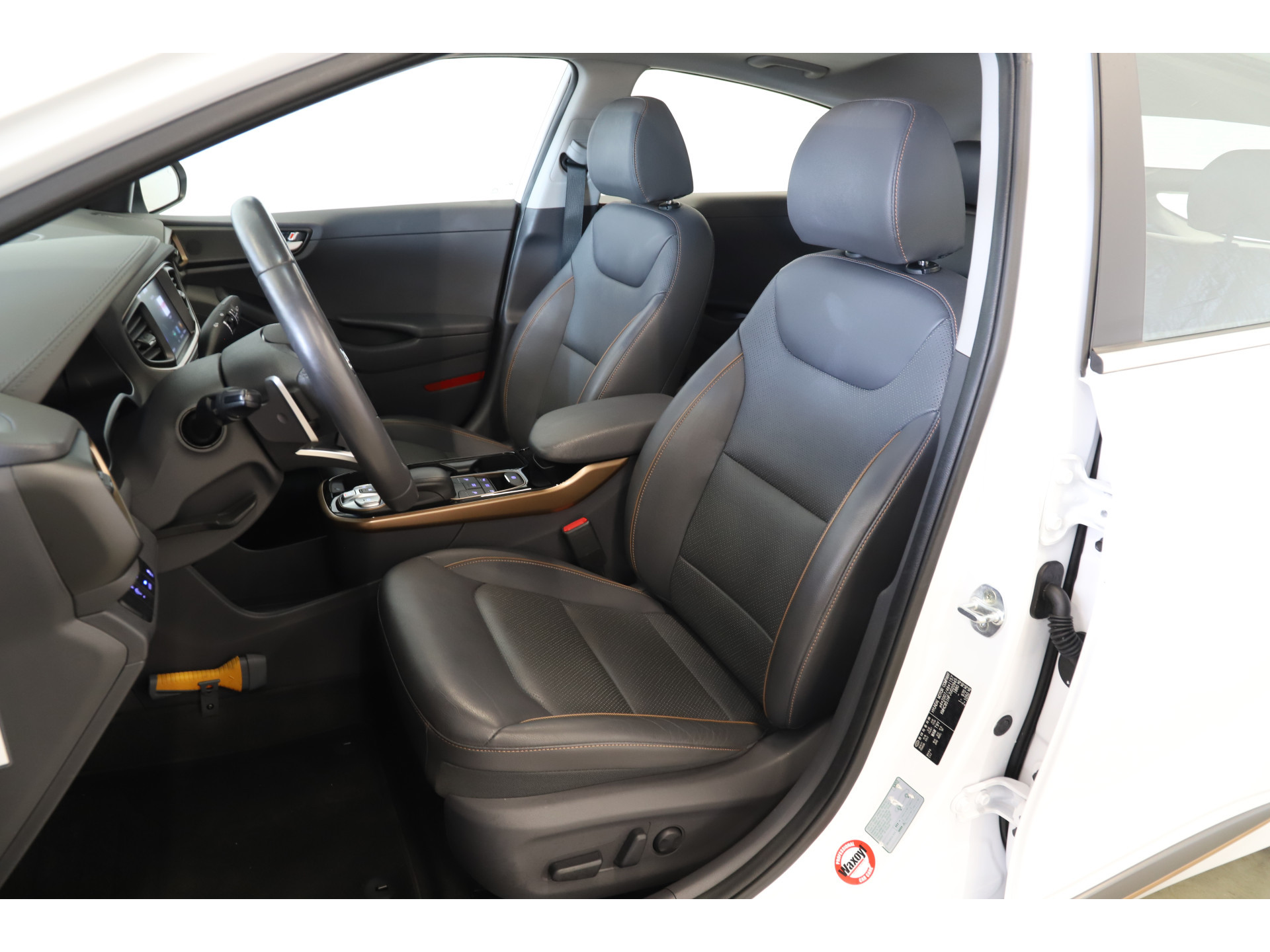 Hyundai - IONIQ Premium EV - 2018